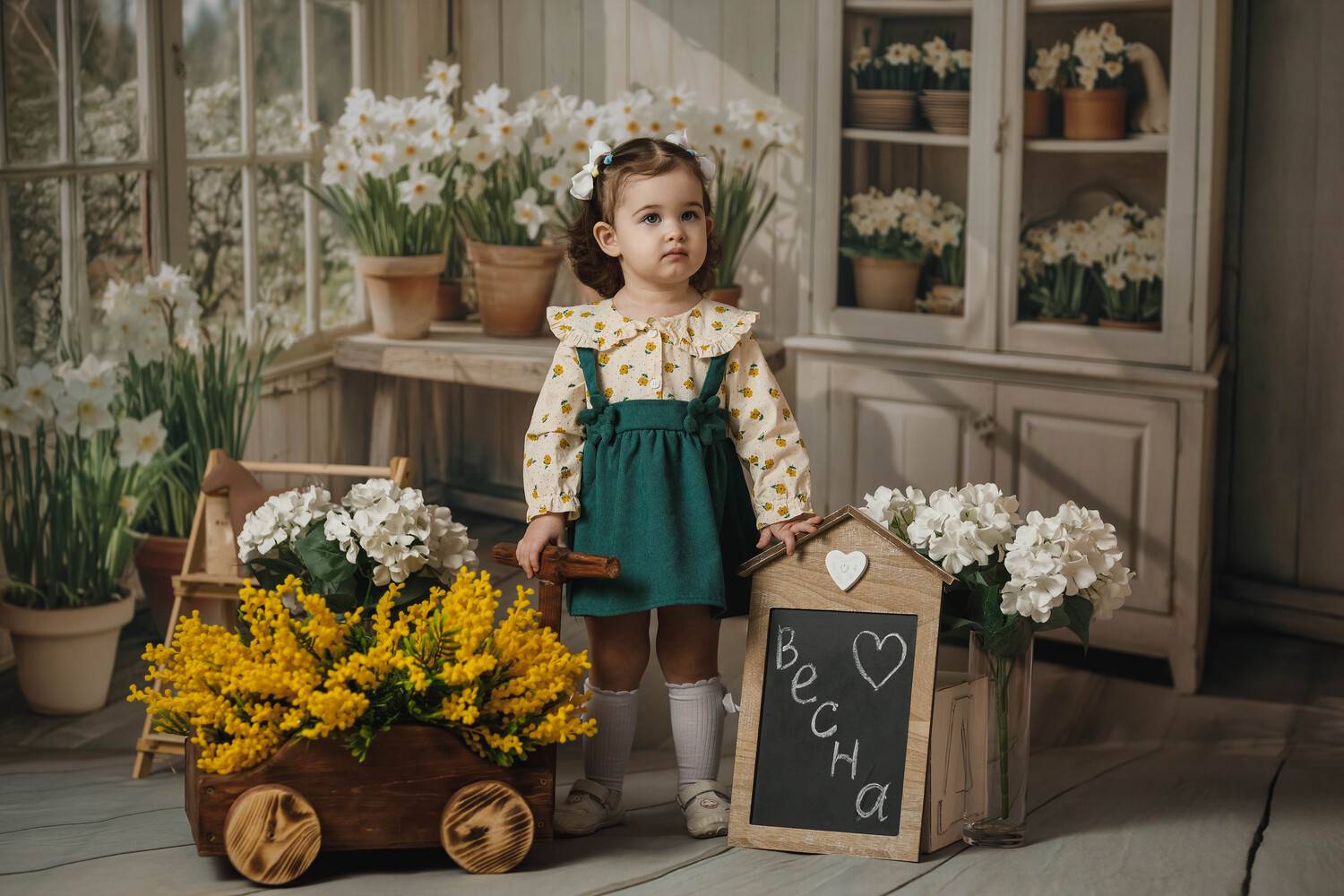 , Владимир Васильев