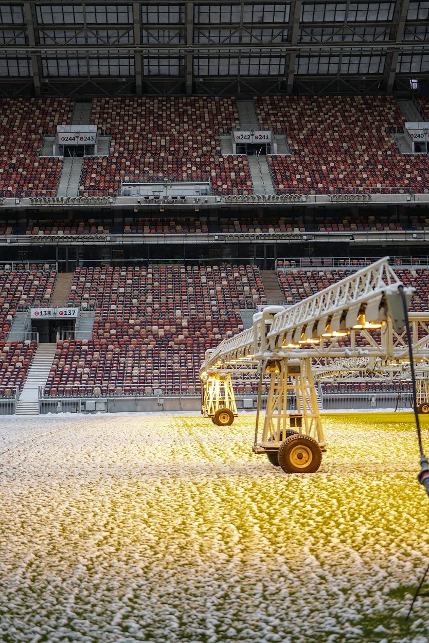 , Новикова Ольга