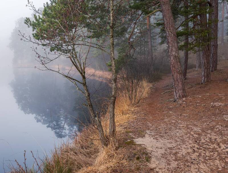Утро туманное фото превью