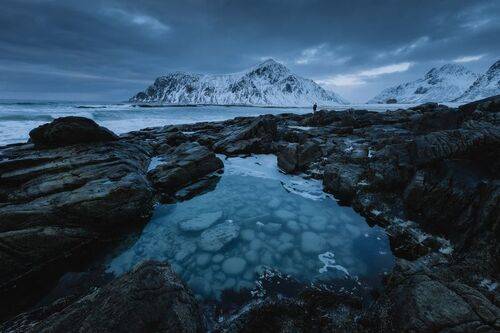 Arctic