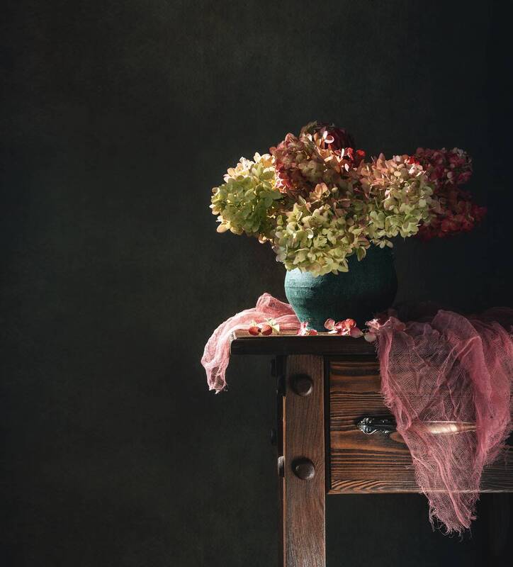 Гортензия фото превью