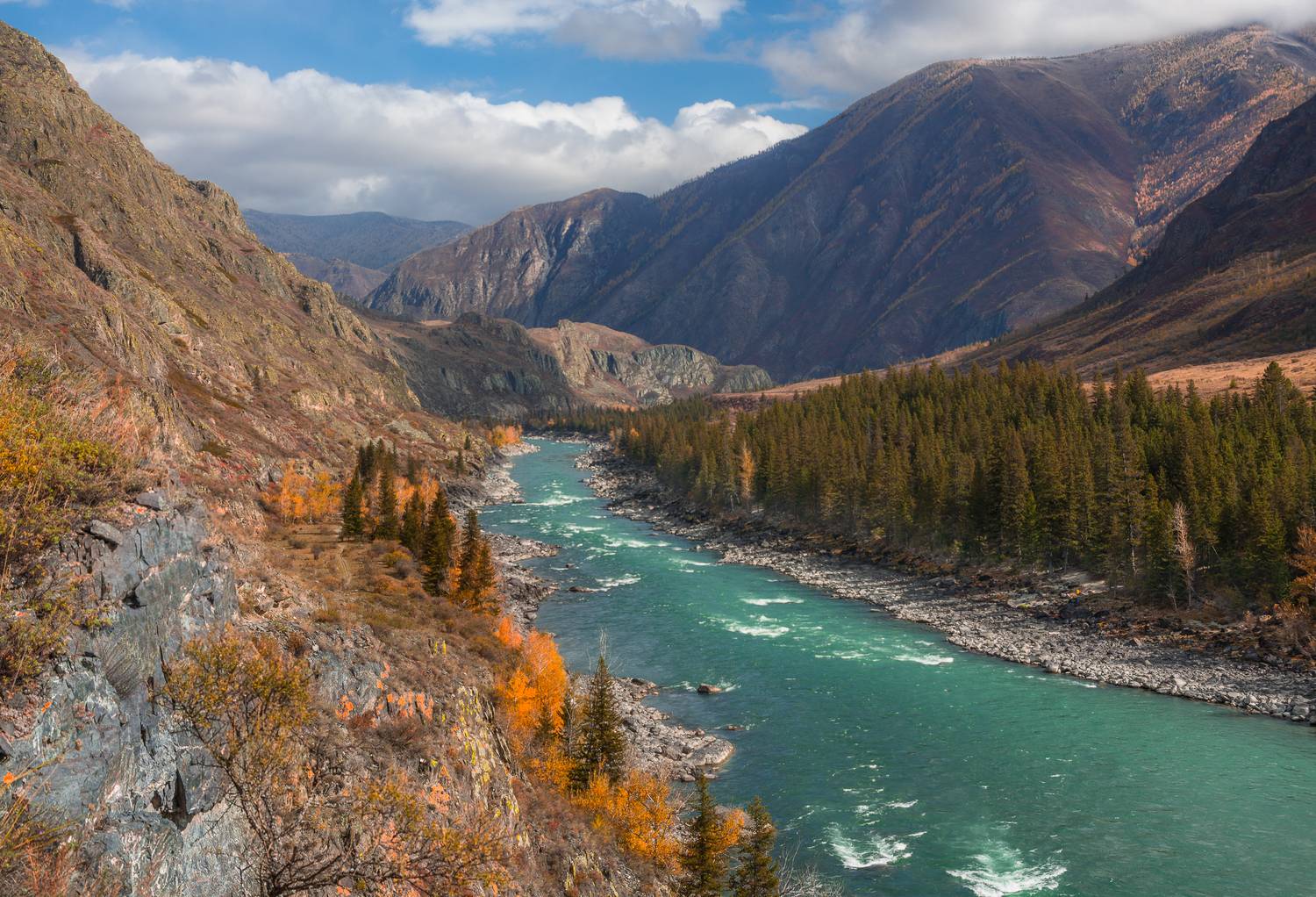 россия, горный алтай, река катунь, осень, Андрей Поляков