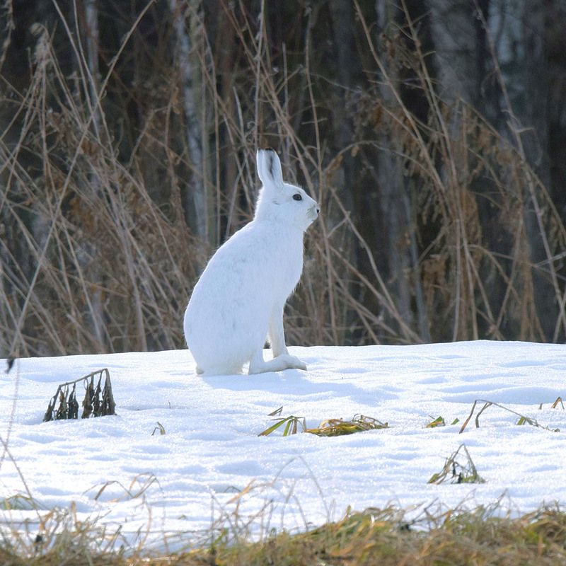 Пора менять гардероб. фото превью