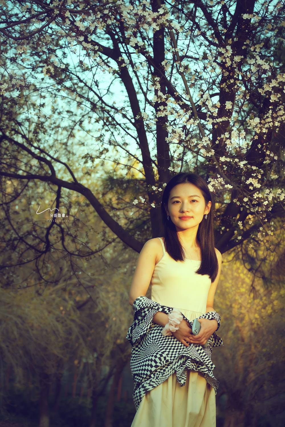 春暖花开时, 吴 微雨墨烟鸿