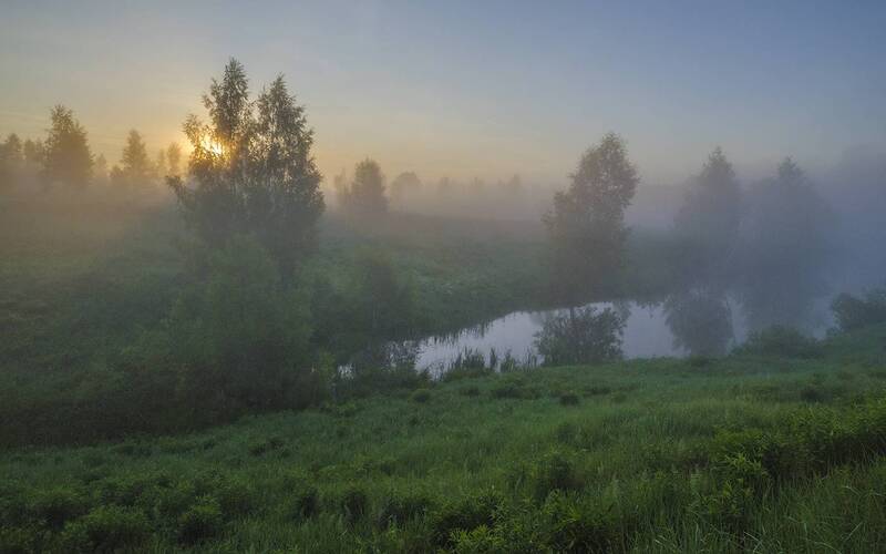 лето, утро, большие, байдики Предисловие летнего дня фото превью