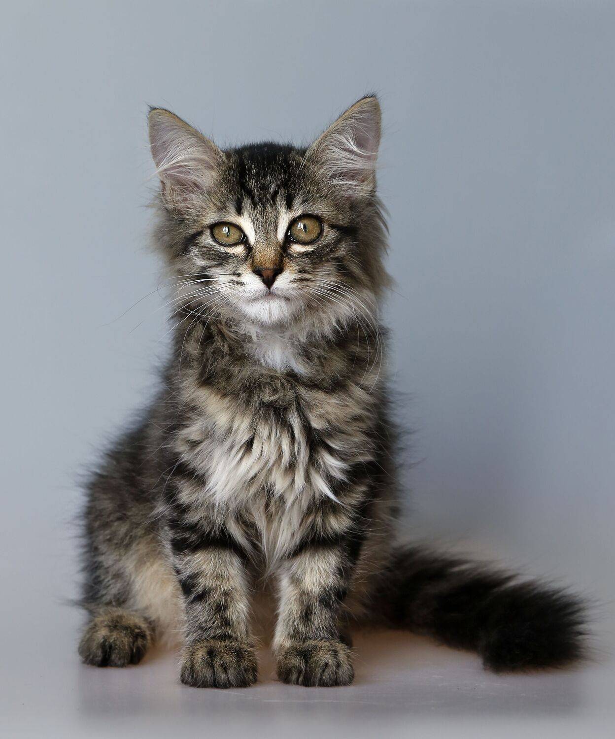 , Ушаков Валерий