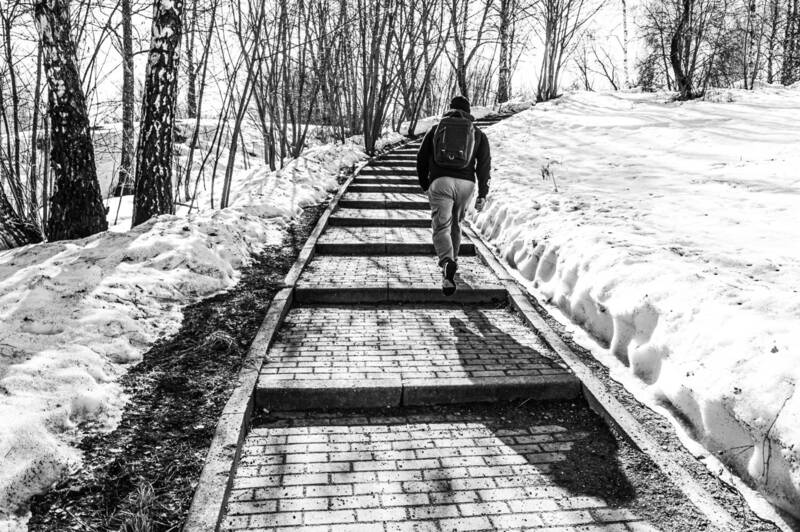 В парке фото превью