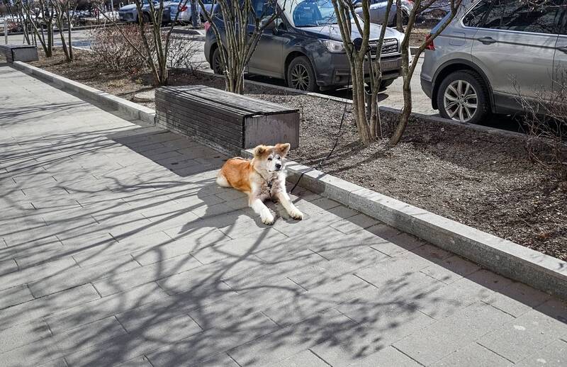 Припарковали фото превью