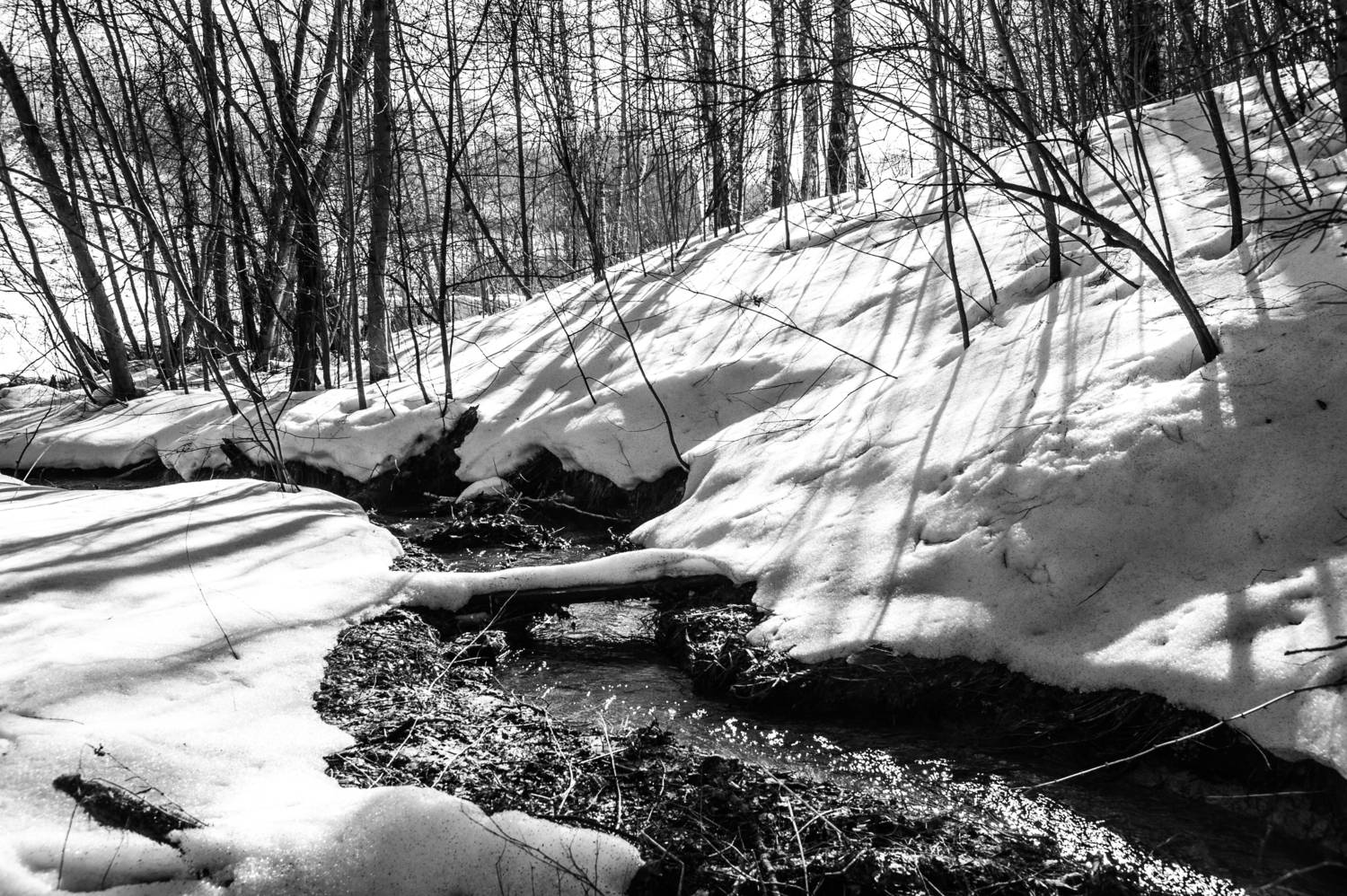 , Виктор Черкасов