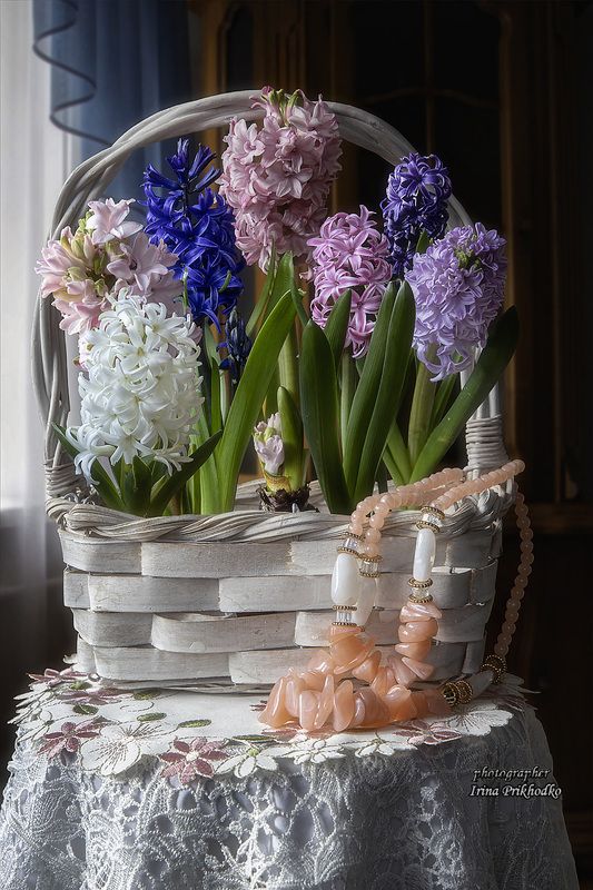 натюрморт, цветы, гиацинты, аромат весны Микросад дома фото превью