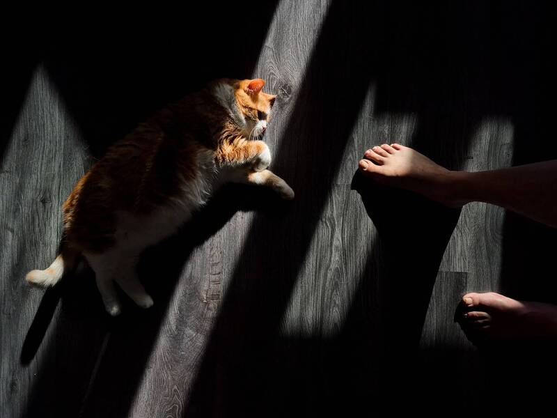 Сотворение Василия фото превью