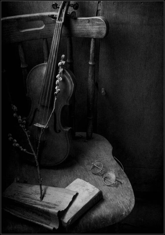 веточка.. фото превью