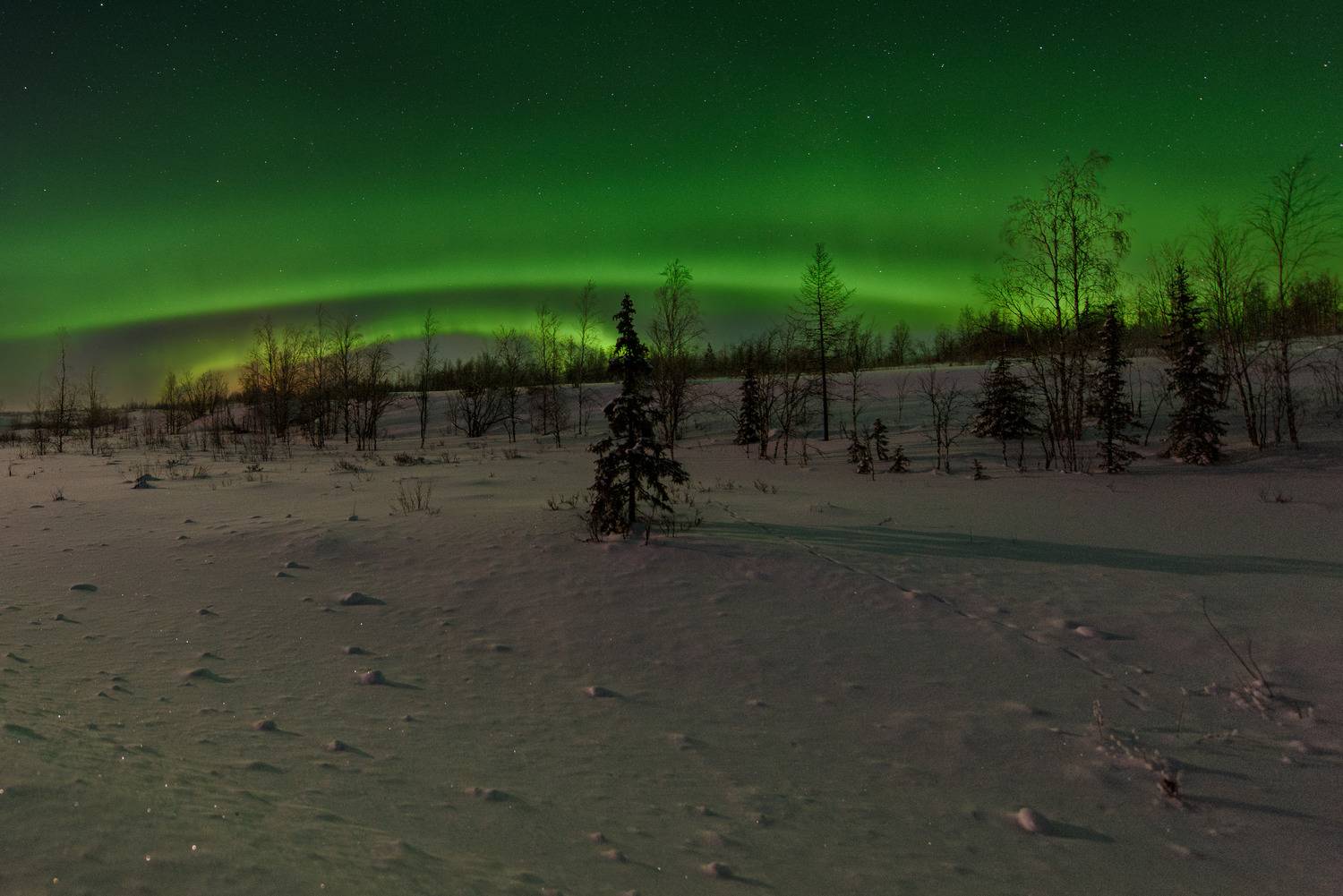 , Сторожев Олег