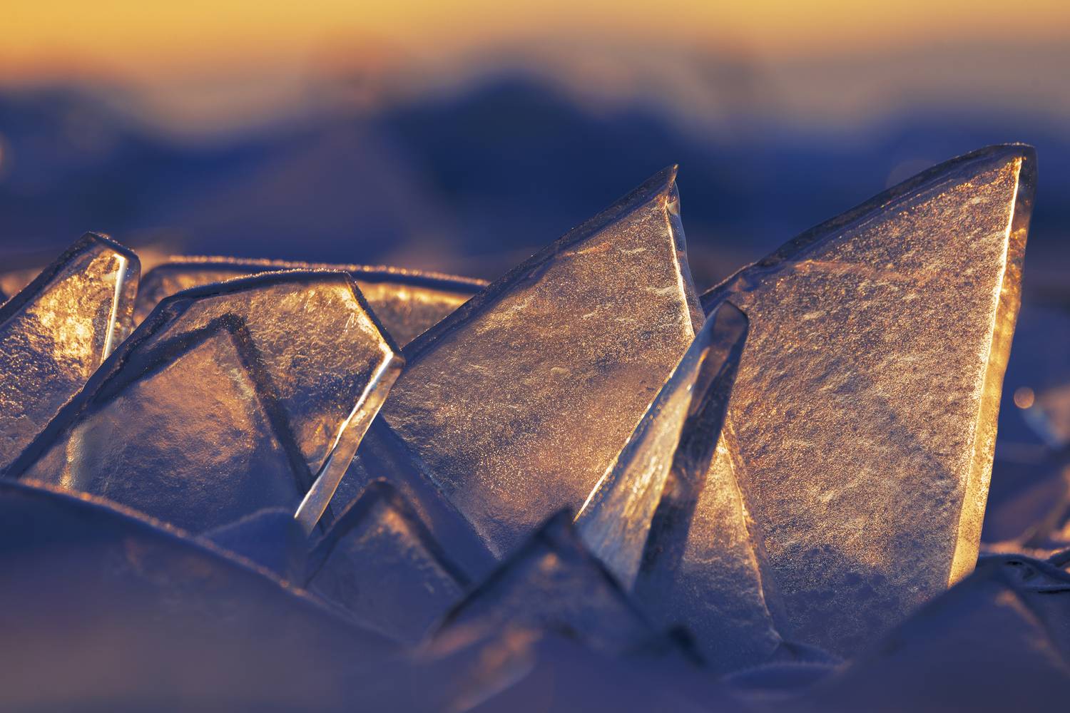 Baykal, Armen  Maitesian