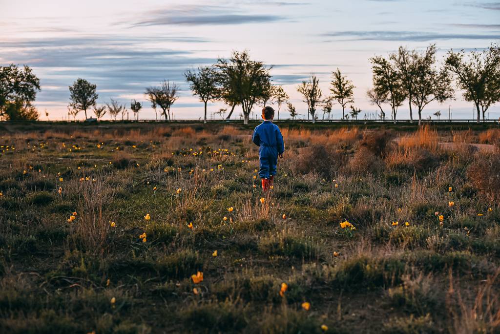 , Дарья Шевченко