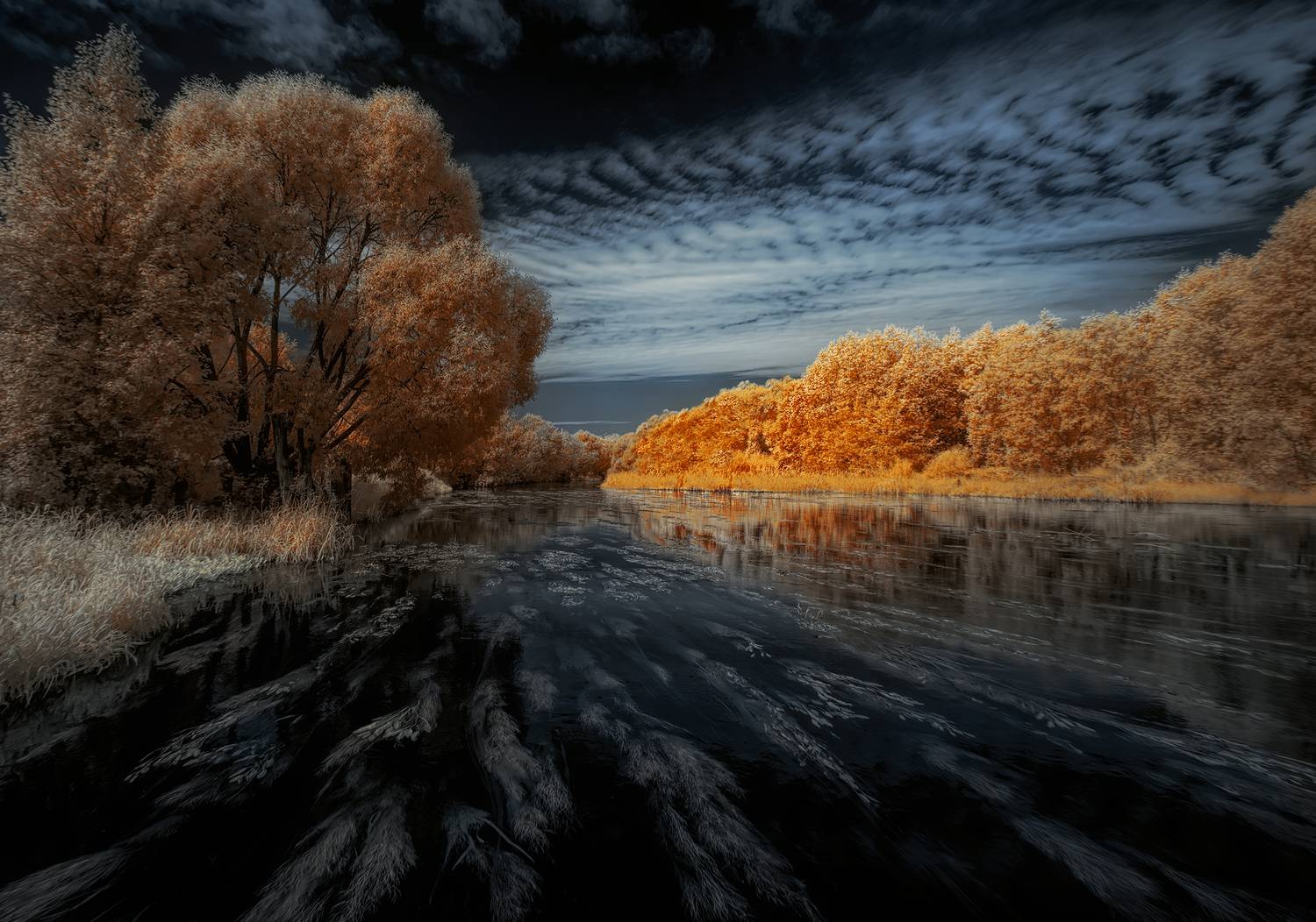 infrared, ик-фото, инфракрасная фотография, пейзаж, лето,  Sixten (Сергей)