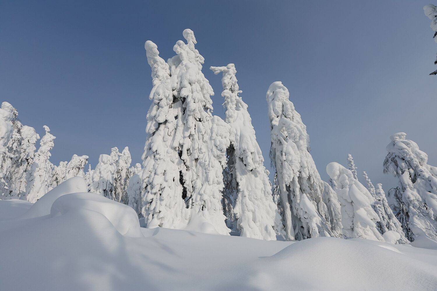 Урал, Полюд, Зима, Кочкин Владимир