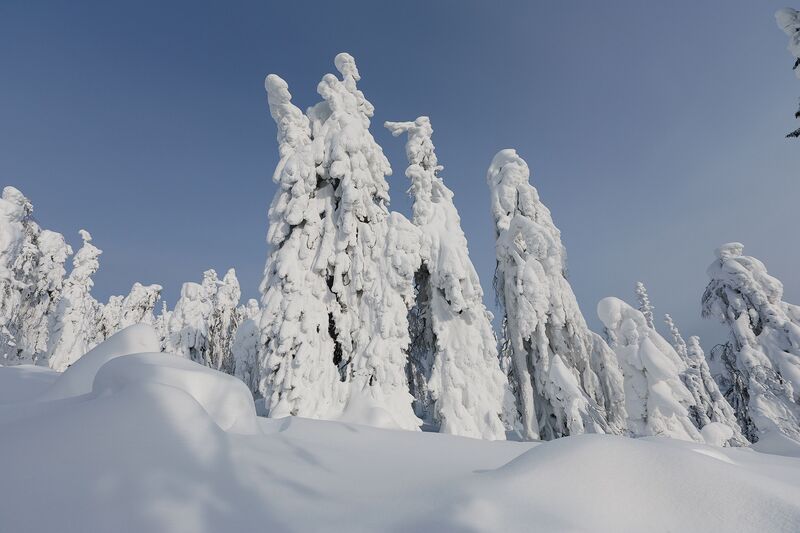 Урал, Полюд, Зима Волшебство первого снега на Полюде фото превью