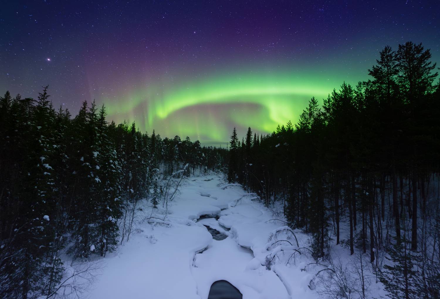 , Васильева Дарья