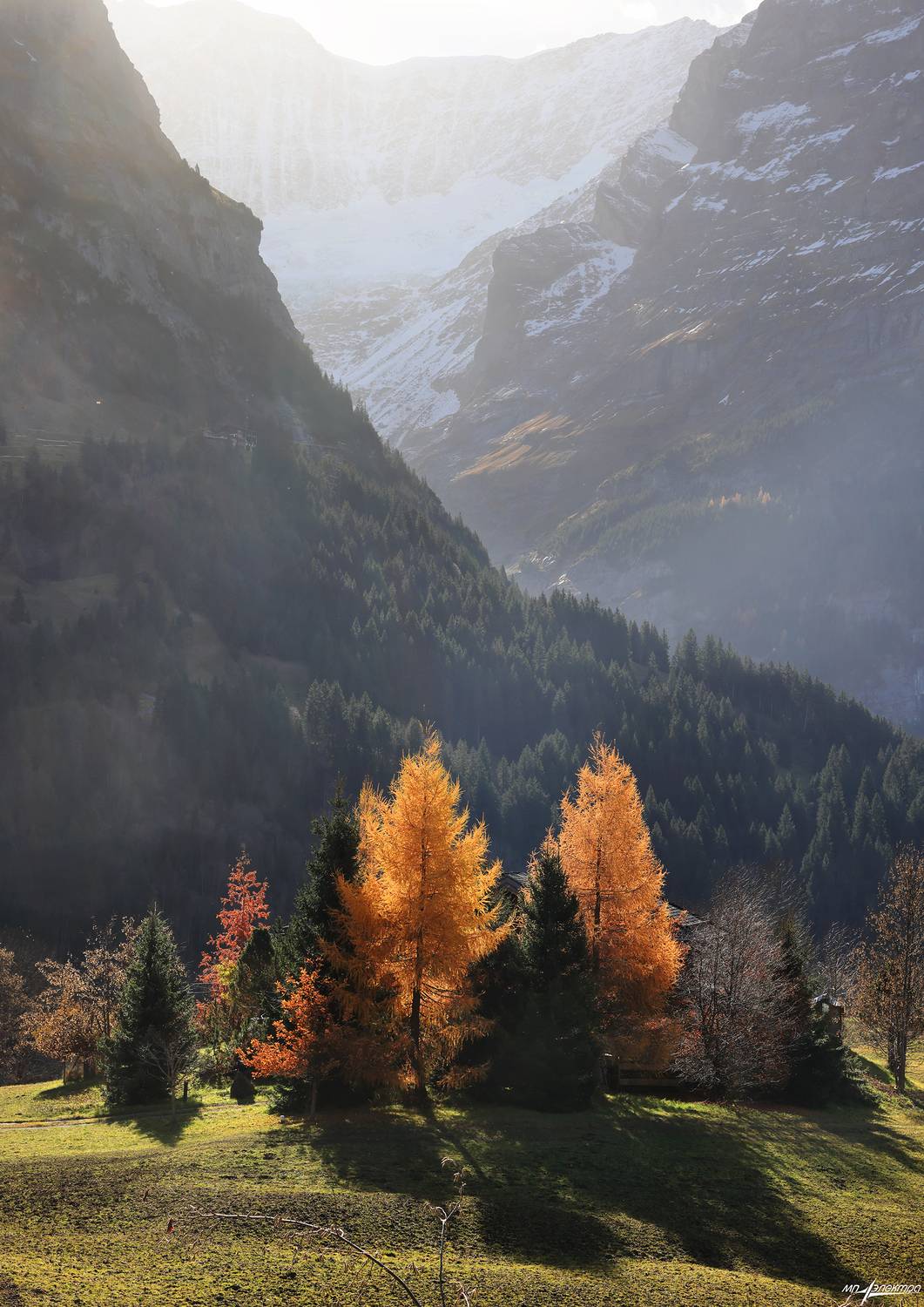 swiss, Матвеев Николай