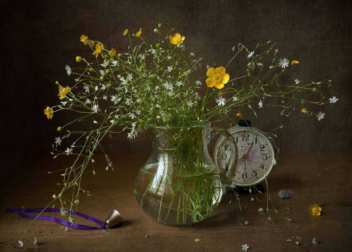 , Колеснева Елена