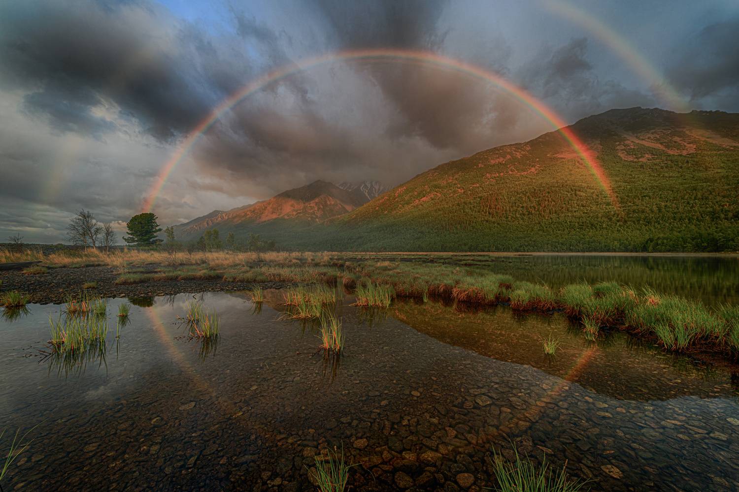 , Лаврентьев Александр