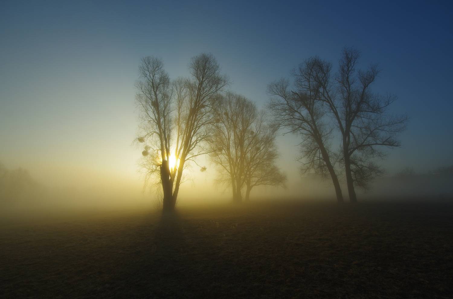 , Шляга Сергей