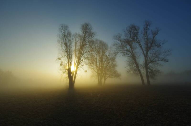 Весеннее утро фото превью