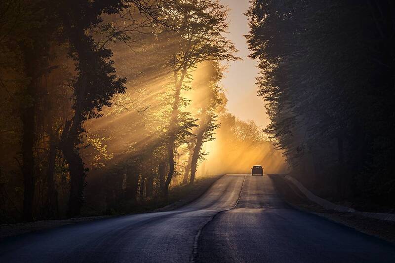 2025-04-25 фото превью