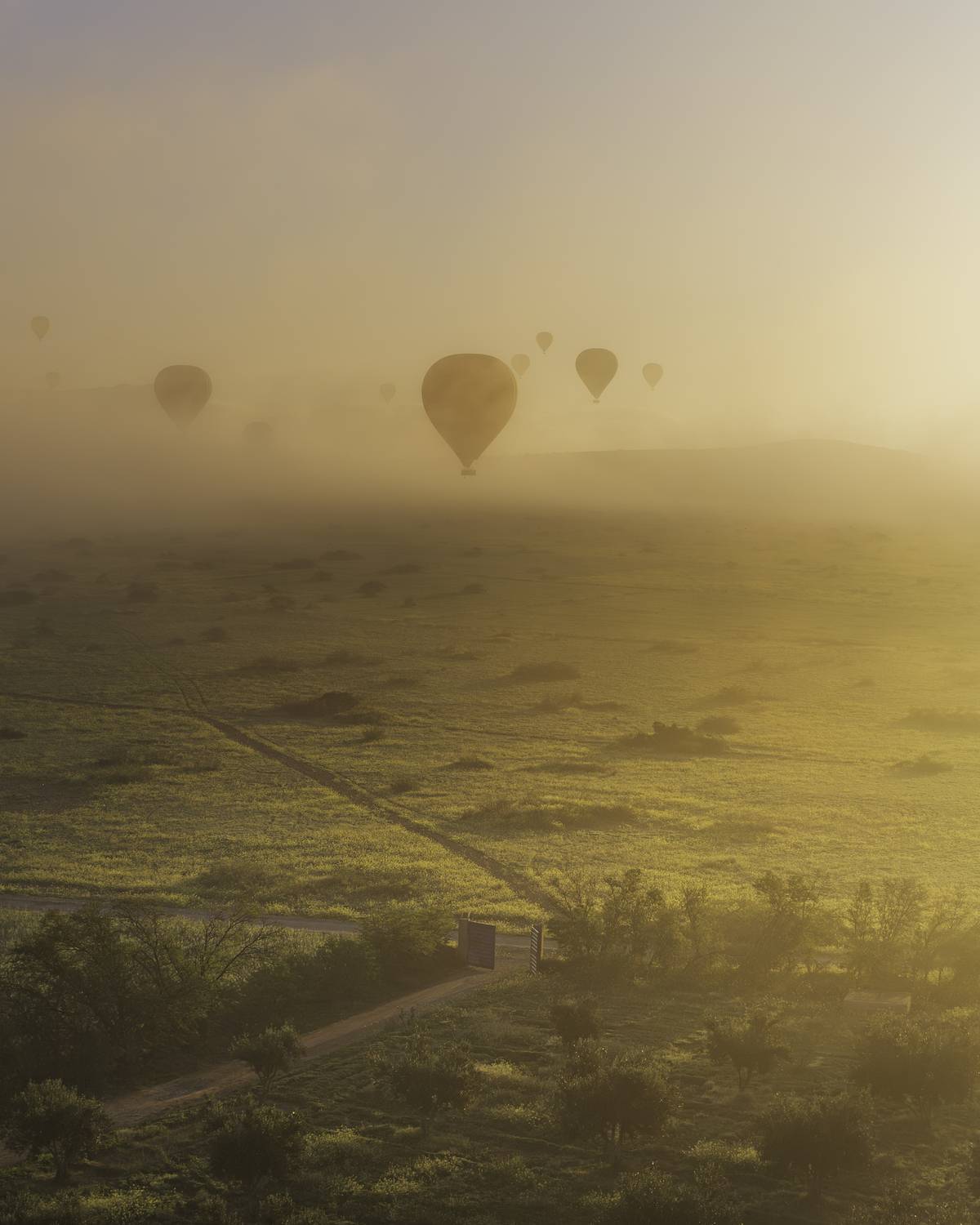 air balloon, sunrise, marocco, golden light, Elena Mogilevich