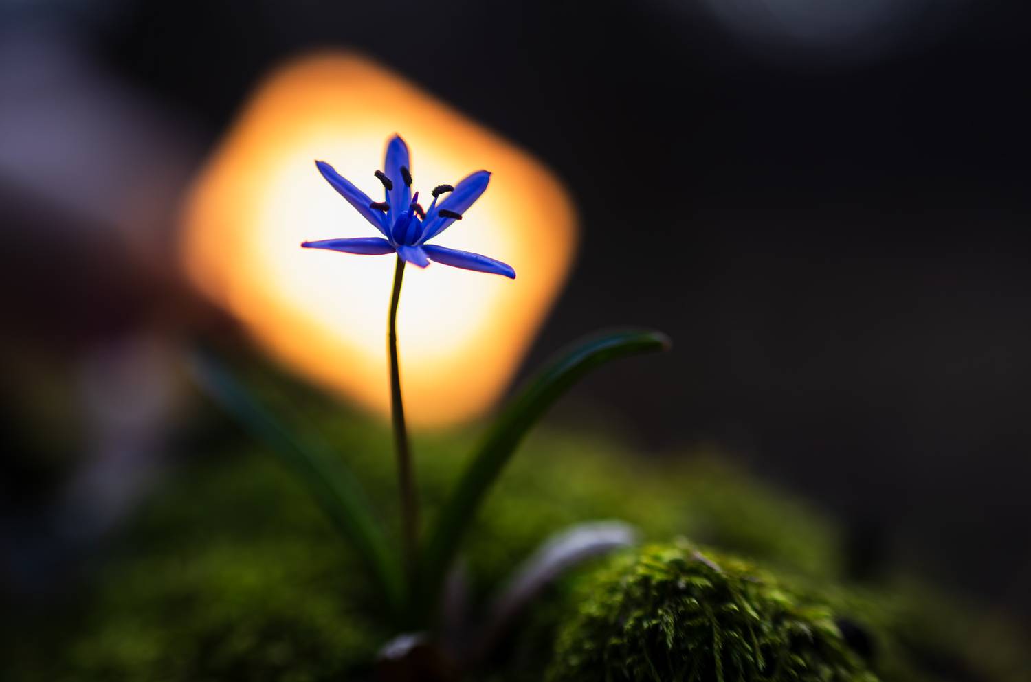 ,  Mirosław Pruchnicki