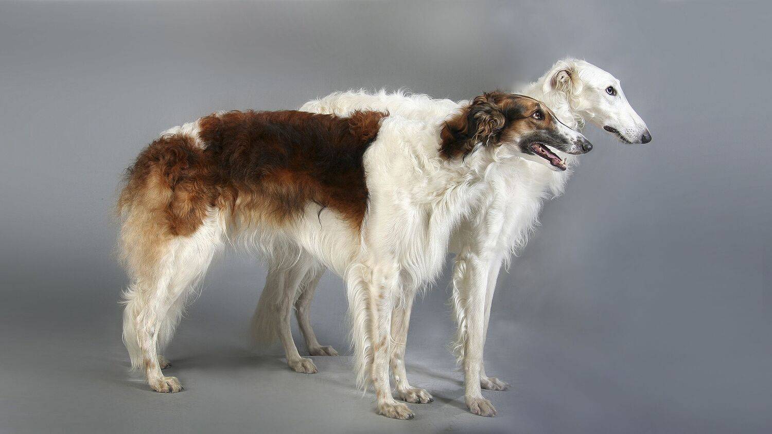 , Ушаков Валерий