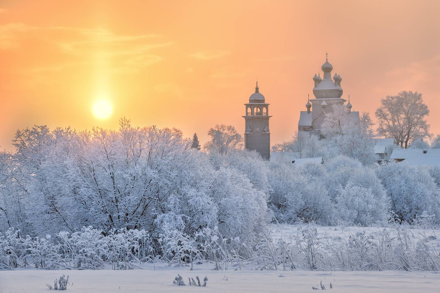 Турчасово, Евдокимов Максим