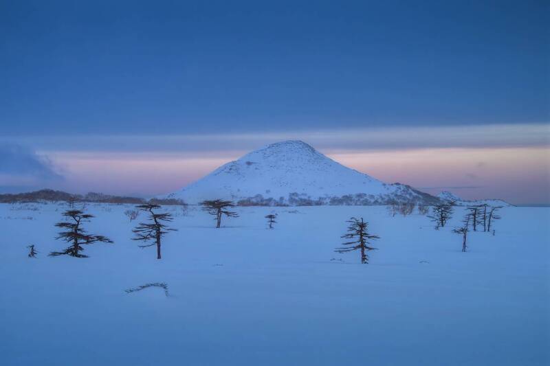 итуруп Лиственницы Итурупа. фото превью