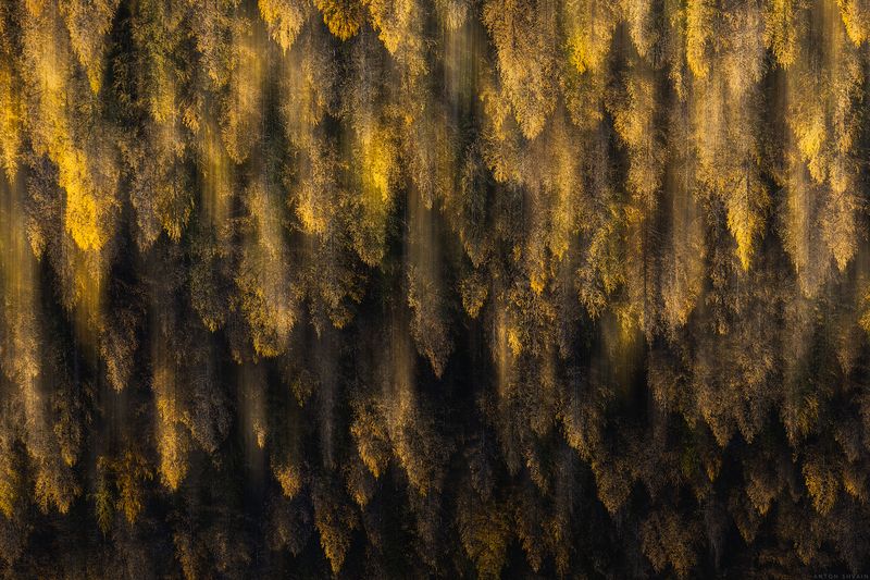 fall фото превью