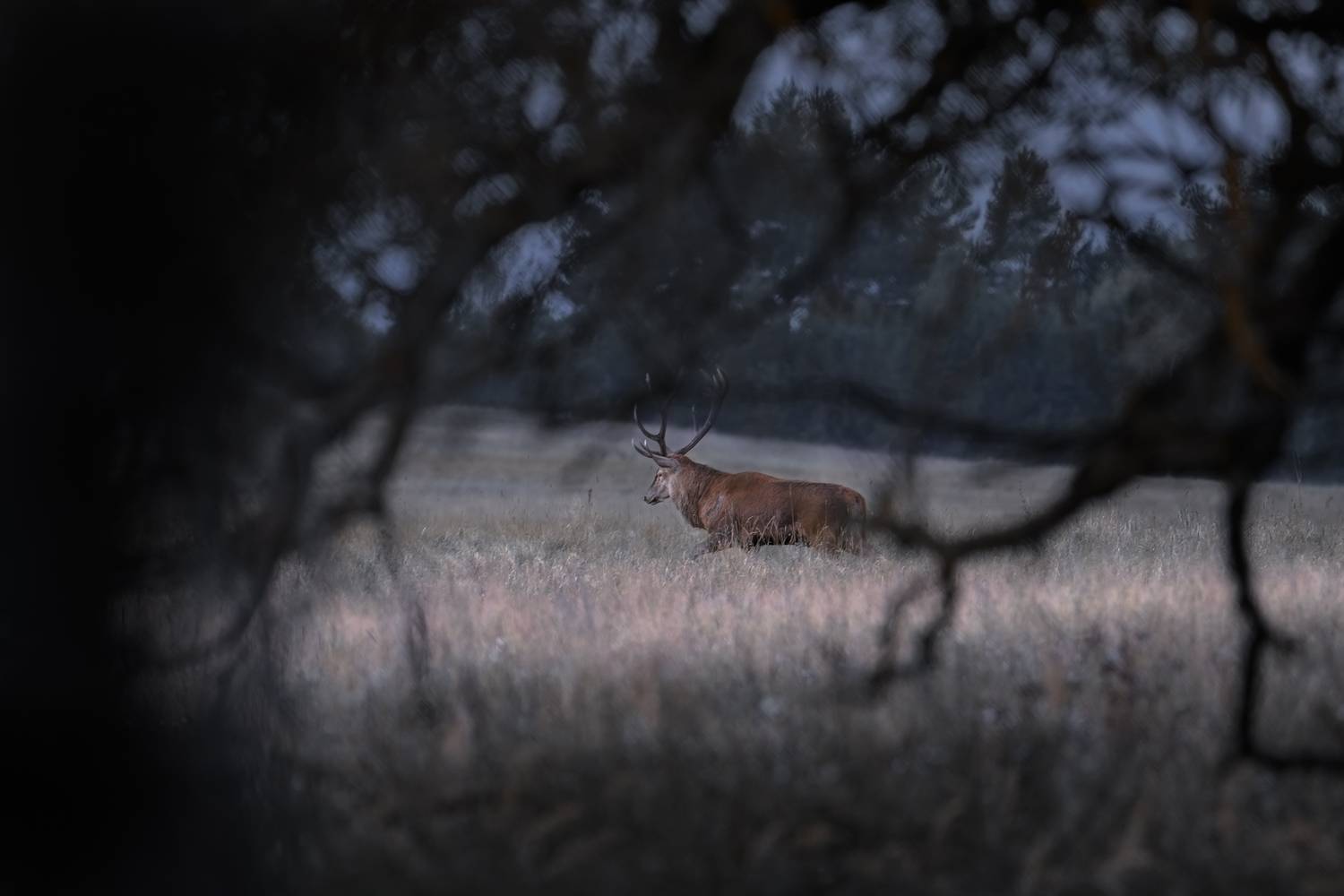 , Фабричный Роман
