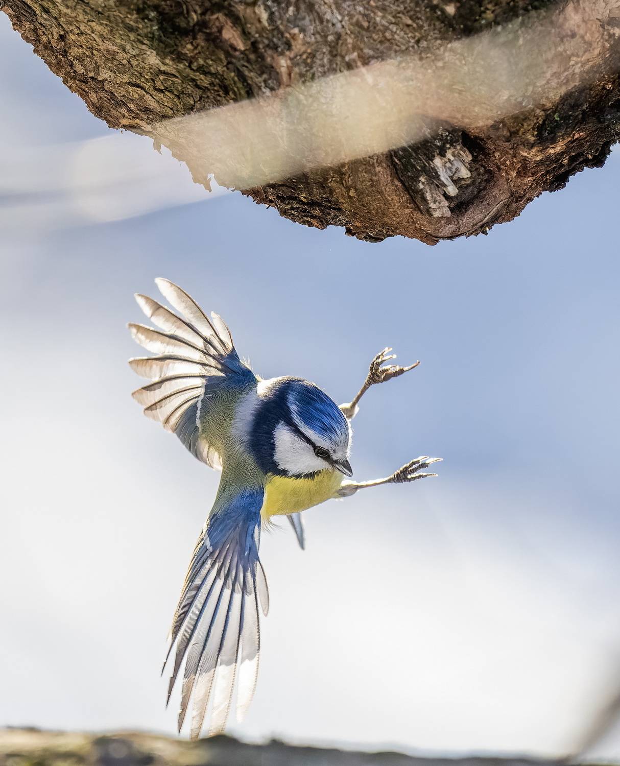 , Дем Константин