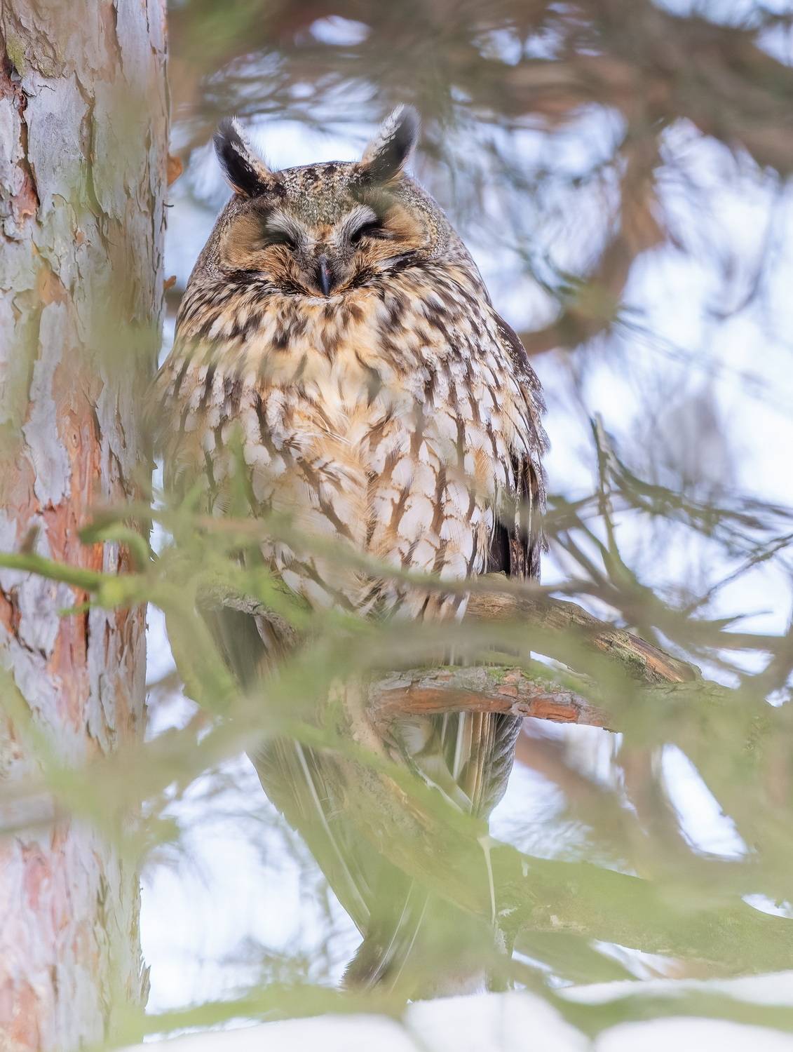 , Дем Константин