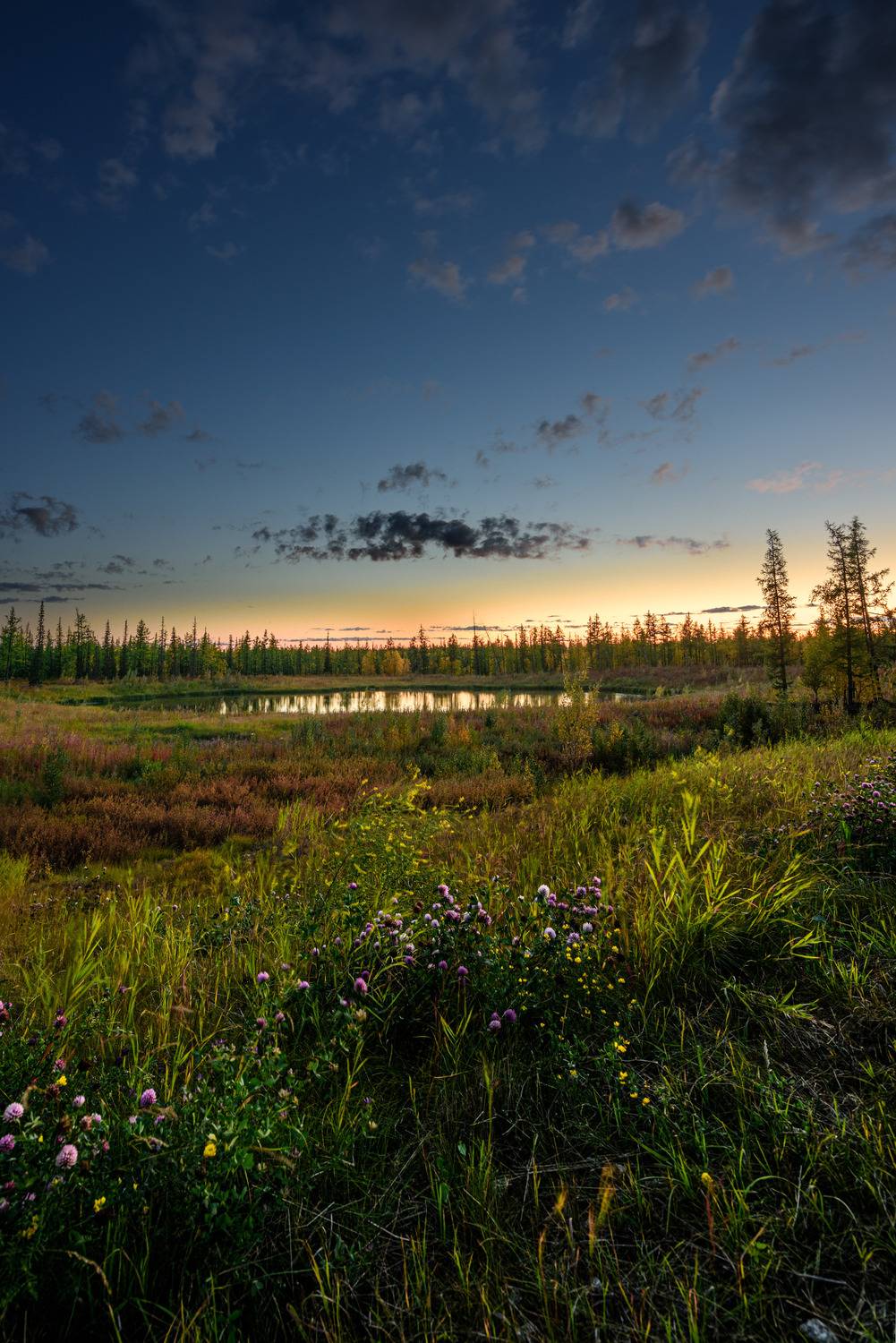 тундра, пейзаж, крайний север, ямал, надым, небо, озеро, Сторожев Олег