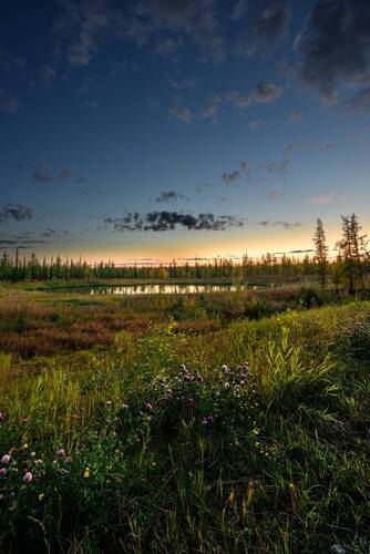 Вечер в тундре
