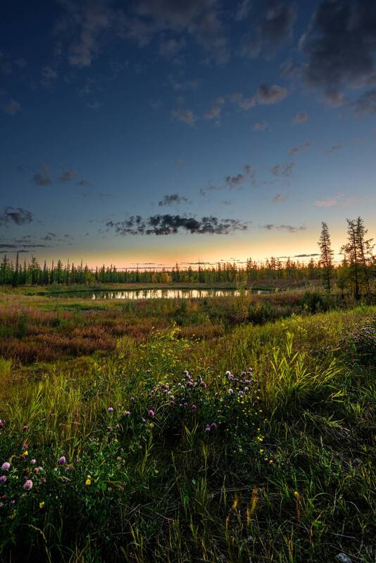 тундра, пейзаж, крайний север, ямал, надым, небо, озеро Вечер в тундре фото превью