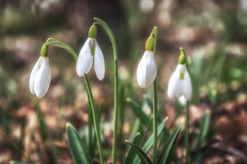 Крым  фото превью