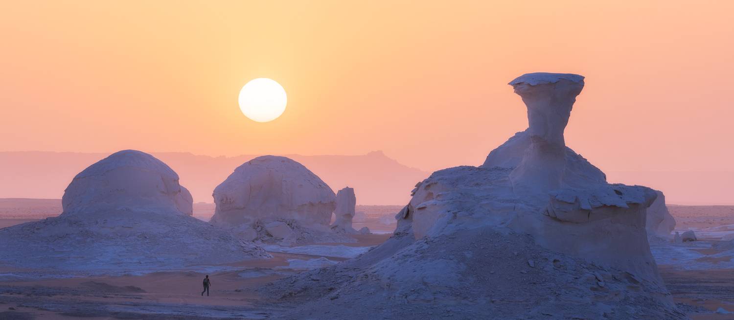 , Антон Агарков