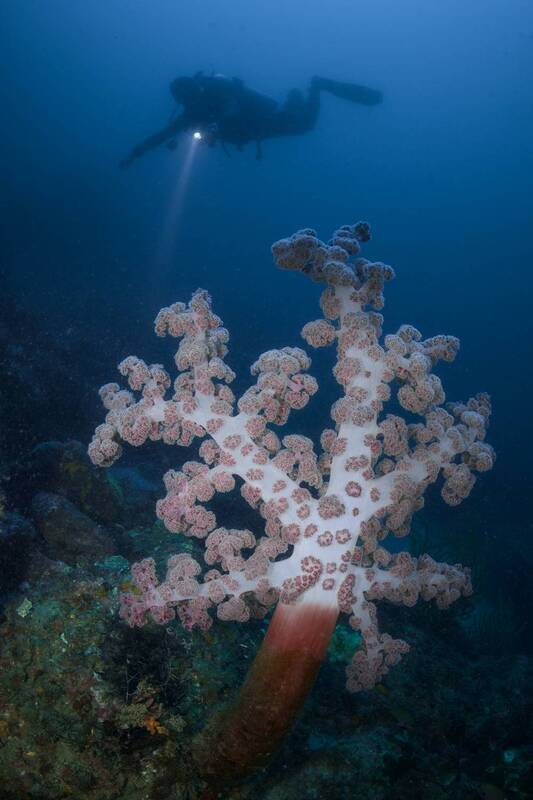 Jeju фото превью