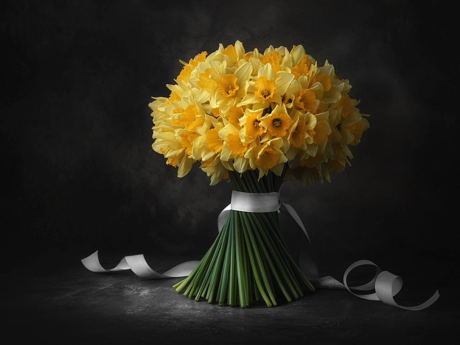нарциссы, натюрморт, натюрморт с цветами, натюрморт с нарциссами, весна2026, художественная фотография, Nadezhda Zakharova