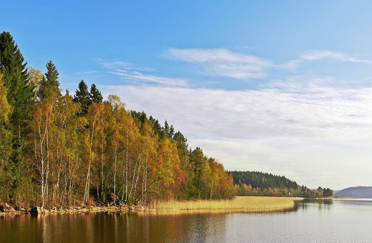 , Орлов Олег