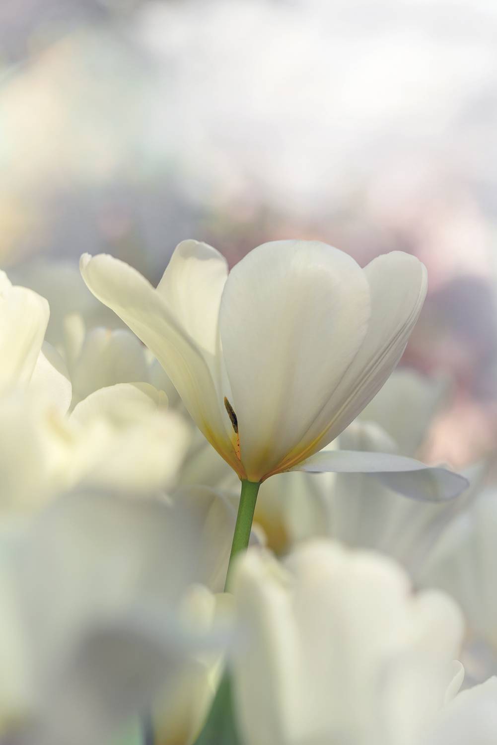 , Людмила Завьялова