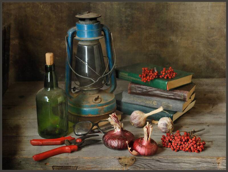 Перезимовали фото превью