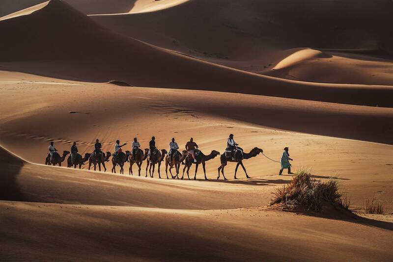 landscape, nature, scenery, desert, sahara, sand, berber, bedouin, morning, shadows, caravan The trip фото превью