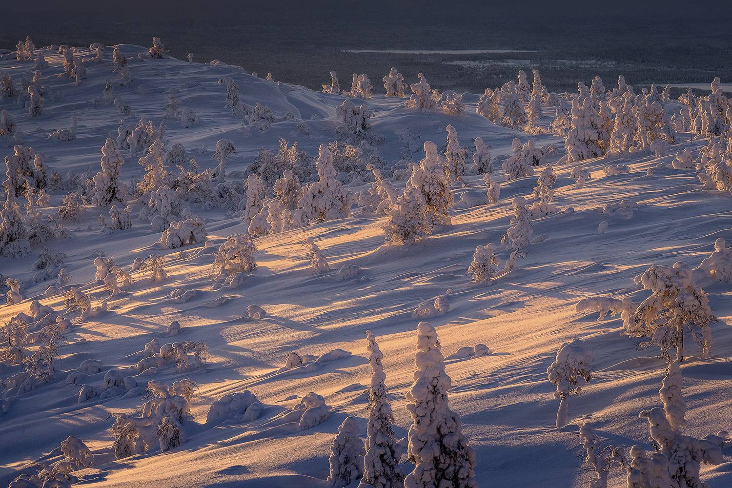 зима, кольский, кандалакша, волосяная, Дмитрий Купрацевич